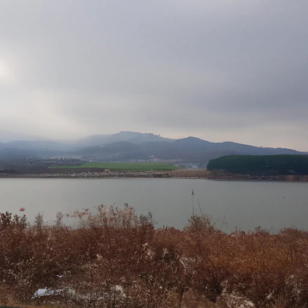 예술의 정원 운영 시 발생할 수 있는 법적 문제와 해결책